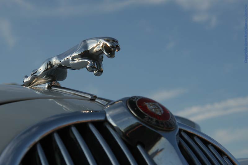 Vikingabyn i L�ddek�pinge, Sk�ne