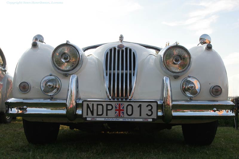 Vikingabyn i L�ddek�pinge, Sk�ne