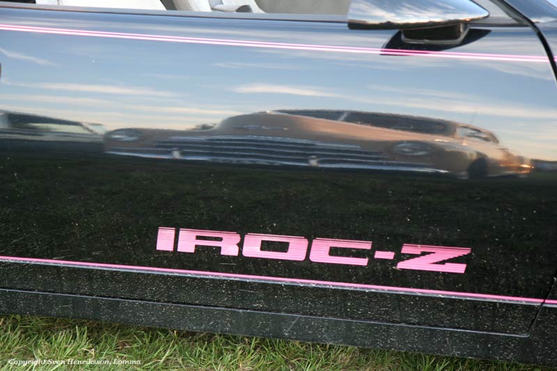 Vikingabyn i L�ddek�pinge, Sk�ne