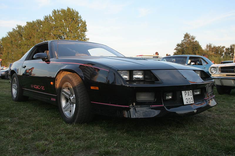 Vikingabyn i L�ddek�pinge, Sk�ne