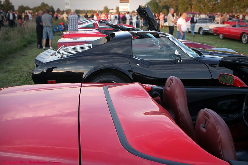 Vikingabyn i L�ddek�pinge, Sk�ne