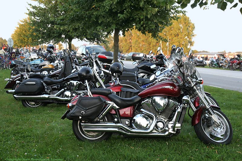 Vikingabyn i L�ddek�pinge, Sk�ne