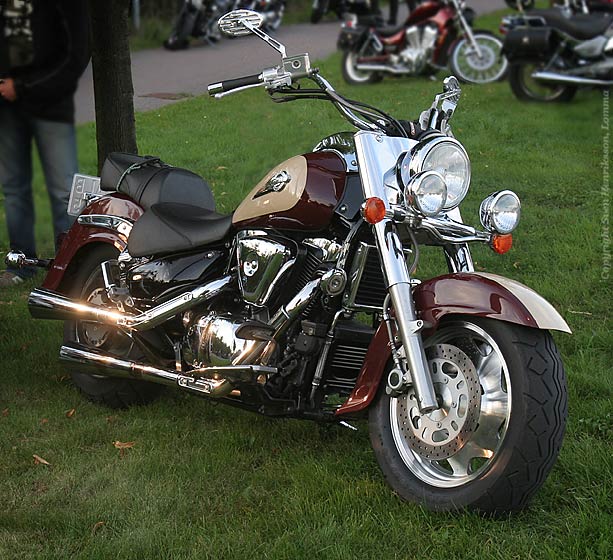 Vikingabyn i L�ddek�pinge, Sk�ne