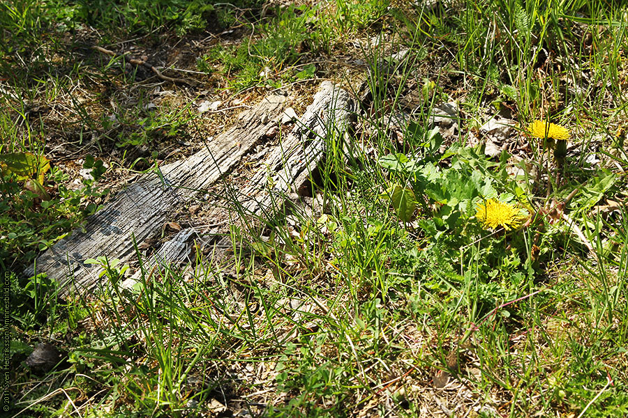 Lite data om bilden:
Datum: 2011-05-09
Utrustning: Canon EOS-1D MkIV + EF 24-105 F4.0
Malmö-Limhamns järnväg kallad sillabanan, Gamla Malmöbilder av Sven Henriksson, minnesbild.com