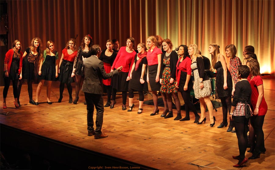 Lite data om bilden:
Plats: Stadshallen, Lund, LEL julkonsert
Datum: 2009-12-19
Utrustning: Canon EOS 5D Mk II + EF 70-200
Stadshallen, Lund, LEL julkonsert